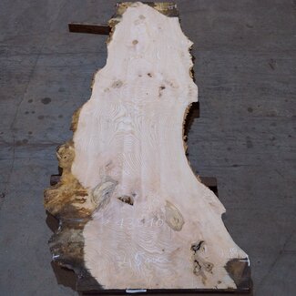 Ash burl table top, approx. 2600 x 980/620/530 x 40-48 mm, 13510