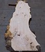Ash burl table top, approx. 2600 x 980/620/530 x 40-48 mm, 13510