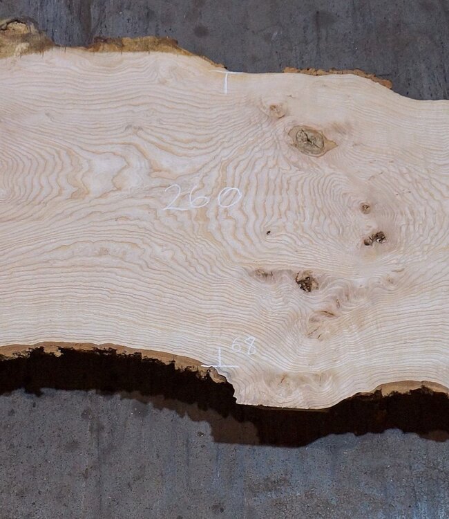 Ash burl table top, approx. 2600 x 980/620/530 x 40-48 mm, 13510
