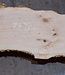 Ash burl table top, approx. 2600 x 980/620/530 x 40-48 mm, 13510