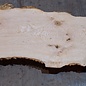 Ash burl table top, approx. 2600 x 980/620/530 x 40-48 mm, 13510