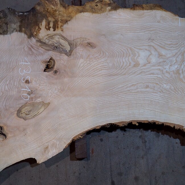 Esche Maser Tischplatte, ca. 2600 x 980/620/530 x 40-48 mm, 13510