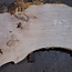 Esche Maser Tischplatte, ca. 2600 x 980/620/530 x 40-48 mm, 13510