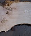 Ash burl table top, approx. 2600 x 980/620/530 x 40-48 mm, 13510