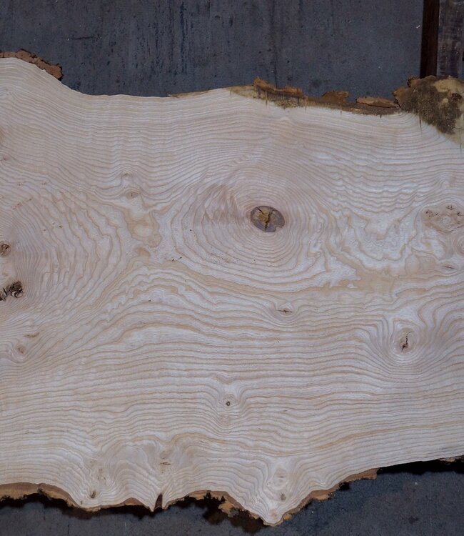 Ash burl table top, approx. 2600 x 980/620/530 x 40-48 mm, 13510