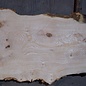Ash burl table top, approx. 2600 x 980/620/530 x 40-48 mm, 13510