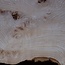 Ash burl table top, approx. 2600 x 980/620/530 x 40-48 mm, 13510