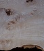 Ash burl table top, approx. 2600 x 980/620/530 x 40-48 mm, 13510
