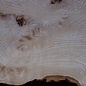 Ash burl table top, approx. 2600 x 980/620/530 x 40-48 mm, 13510