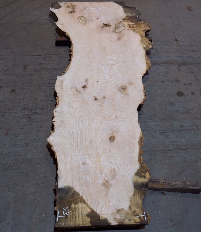 Ash burl table top, approx. 2600 x 980/620/530 x 40-48 mm, 13510