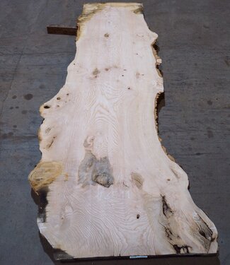Ash burl table top, approx. 2600 x 1040/780/600 x 40-48 mm, 13511