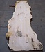 Ash burl table top, approx. 2600 x 1040/780/600 x 40-48 mm, 13511