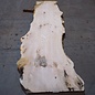 Ash burl table top, approx. 2600 x 1040/780/600 x 40-48 mm, 13511