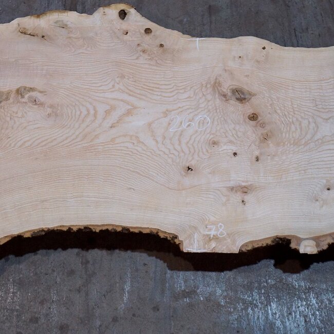 Ash burl table top, approx. 2600 x 1040/780/600 x 40-48 mm, 13511