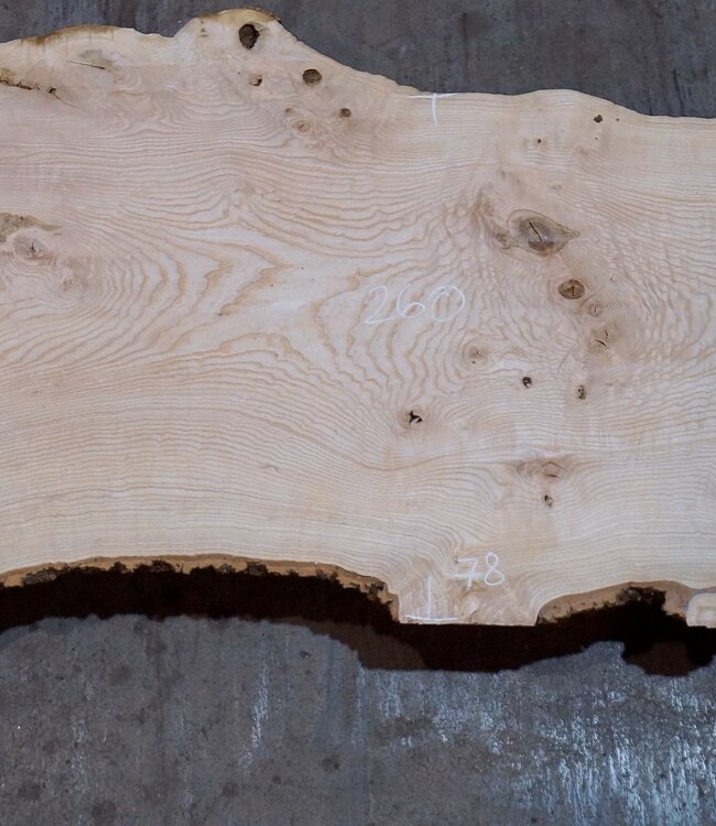 Ash burl table top, approx. 2600 x 1040/780/600 x 40-48 mm, 13511