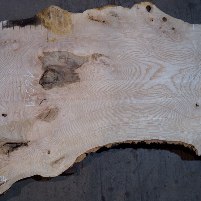 Ash burl table top, approx. 2600 x 1040/780/600 x 40-48 mm, 13511