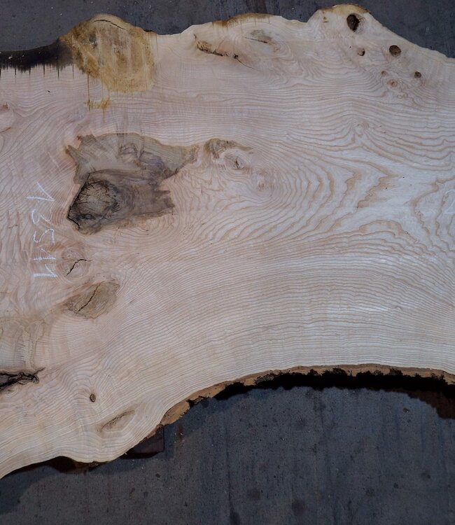 Esche Maser Tischplatte, ca. 2600 x 1040/780/600 x 40-48 mm, 13511