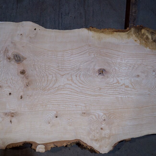 Ash burl table top, approx. 2600 x 1040/780/600 x 40-48 mm, 13511