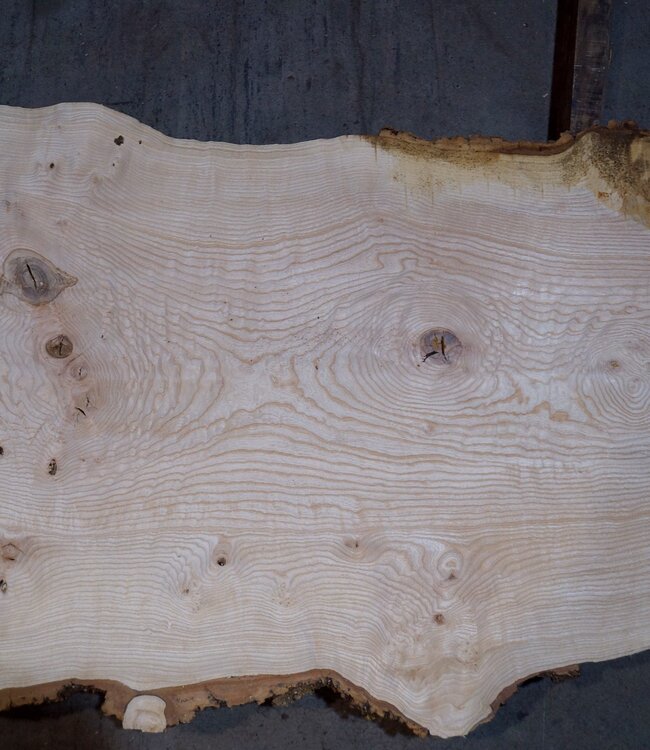 Ash burl table top, approx. 2600 x 1040/780/600 x 40-48 mm, 13511