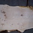 Esche Maser Tischplatte, ca. 2600 x 1040/780/600 x 40-48 mm, 13511