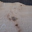 Ash burl table top, approx. 2600 x 1040/780/600 x 40-48 mm, 13511