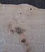 Ash burl table top, approx. 2600 x 1040/780/600 x 40-48 mm, 13511