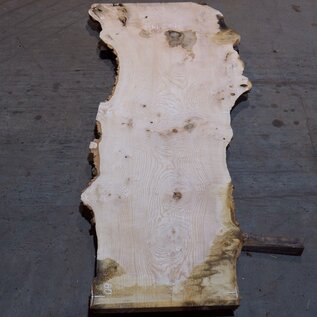 Ash burl table top, approx. 2600 x 1040/780/600 x 40-48 mm, 13511