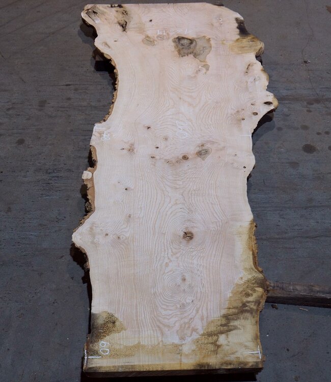 Ash burl table top, approx. 2600 x 1040/780/600 x 40-48 mm, 13511