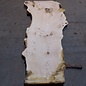 Ash burl table top, approx. 2600 x 1040/780/600 x 40-48 mm, 13511