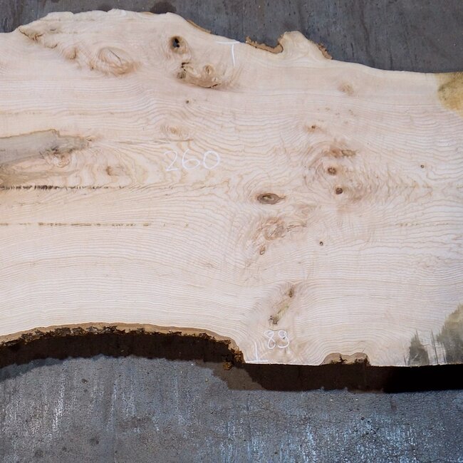 Ash burl table top, approx. 2600 x 1010/890/670 x 40-48 mm, 13512