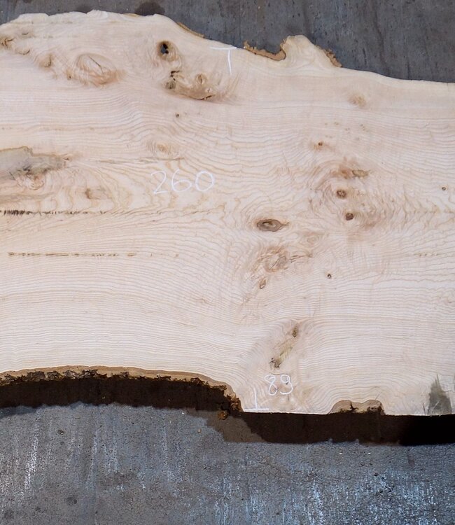 Esche Maser Tischplatte, ca. 2600 x 1010/890/670 x 40-48 mm, 13512