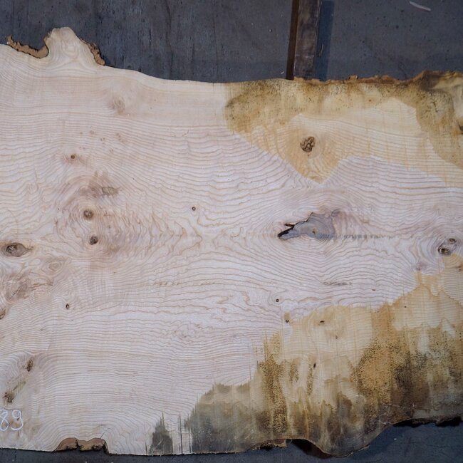 Esche Maser Tischplatte, ca. 2600 x 1010/890/670 x 40-48 mm, 13512