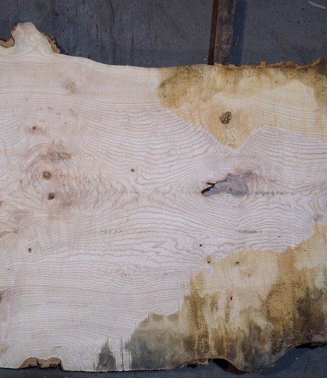 Esche Maser Tischplatte, ca. 2600 x 1010/890/670 x 40-48 mm, 13512