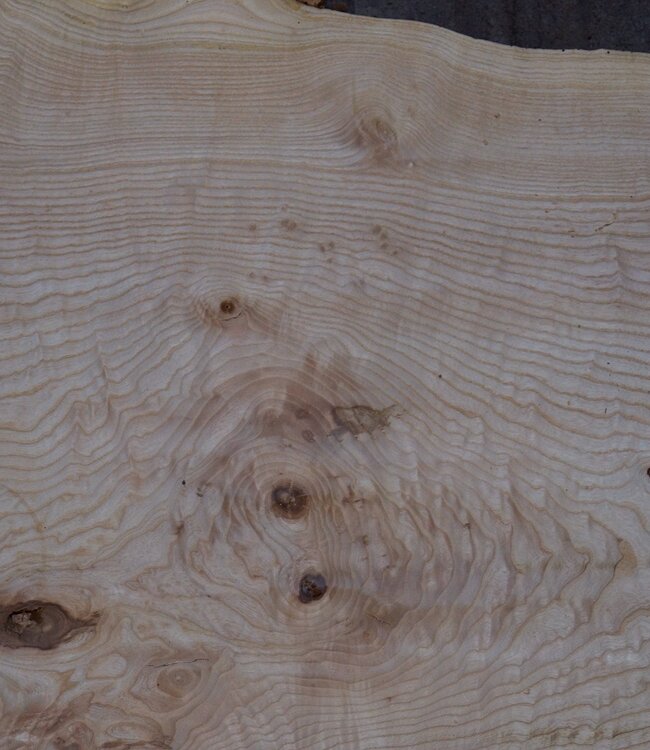 Esche Maser Tischplatte, ca. 2600 x 1010/890/670 x 40-48 mm, 13512