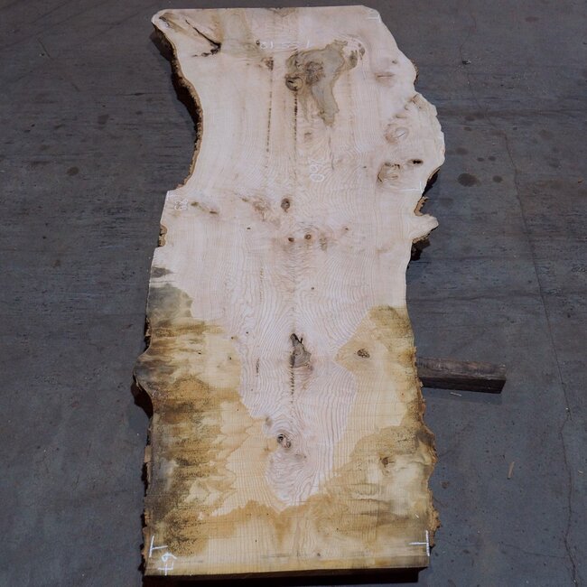 Ash burl table top, approx. 2600 x 1010/890/670 x 40-48 mm, 13512