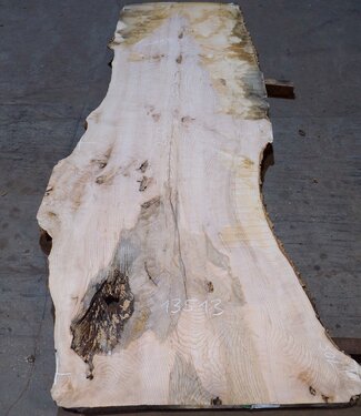 Ash burl table top, approx. 2600 x 1050/940/740 x 40-48 mm, 13513