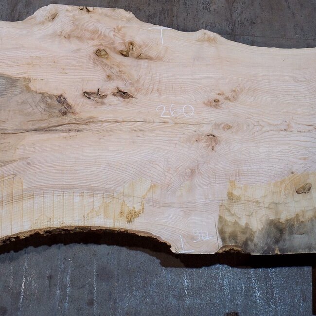 Esche Maser Tischplatte, ca. 2600 x 1050/940/740 x 40-48 mm, 13513