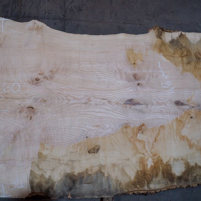 Ash burl table top, approx. 2600 x 1050/940/740 x 40-48 mm, 13513