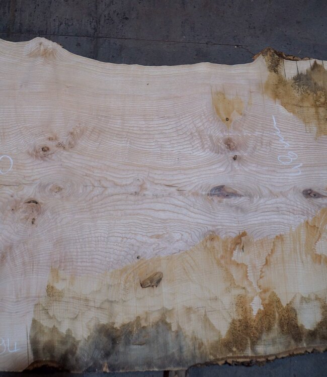 Esche Maser Tischplatte, ca. 2600 x 1050/940/740 x 40-48 mm, 13513