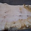 Ash burl table top, approx. 2600 x 1050/940/740 x 40-48 mm, 13513