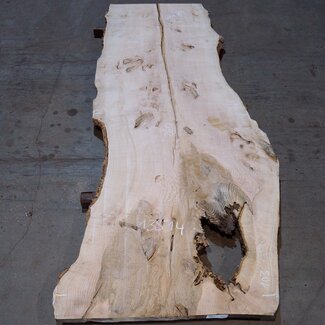Ash burl table top, approx. 2600 x 1030/990/790 x 40-48 mm, 13514