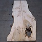 Ash burl table top, approx. 2600 x 1030/990/790 x 40-48 mm, 13514
