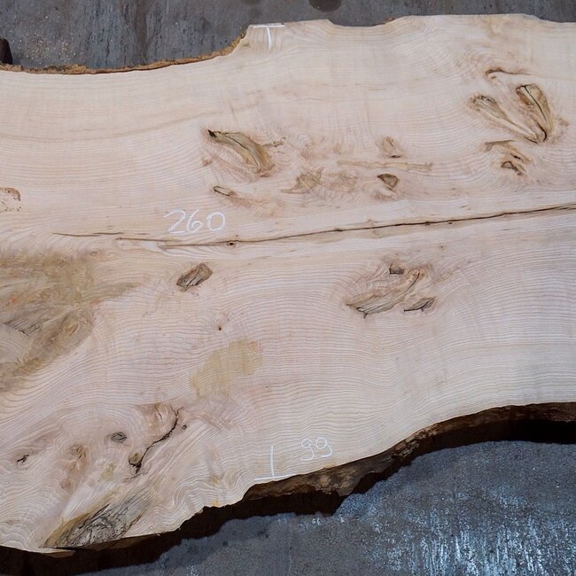 Esche Maser Tischplatte, ca. 2600 x 1030/990/790 x 40-48 mm, 13514