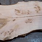Ash burl table top, approx. 2600 x 1030/990/790 x 40-48 mm, 13514