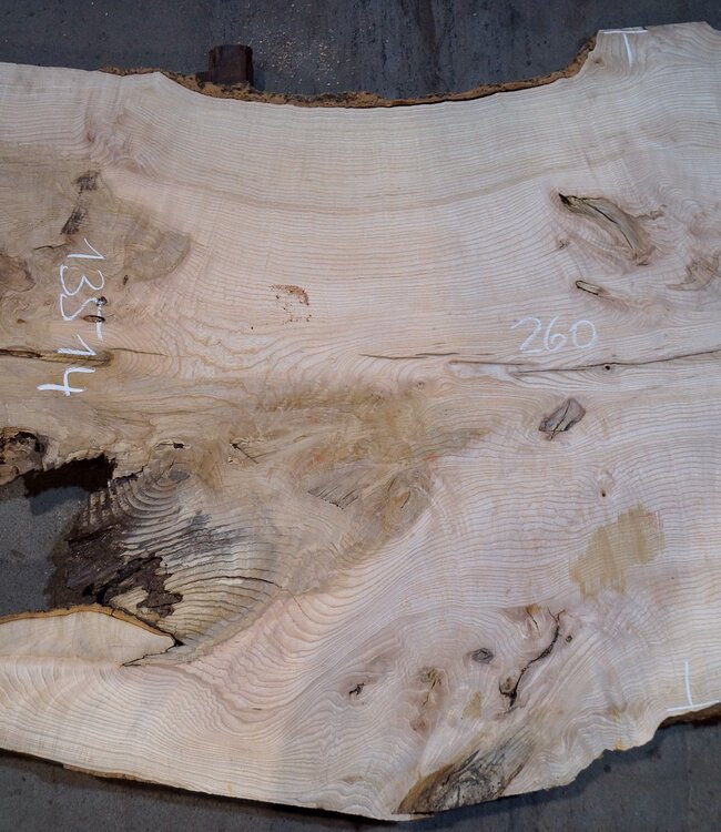 Ash burl table top, approx. 2600 x 1030/990/790 x 40-48 mm, 13514