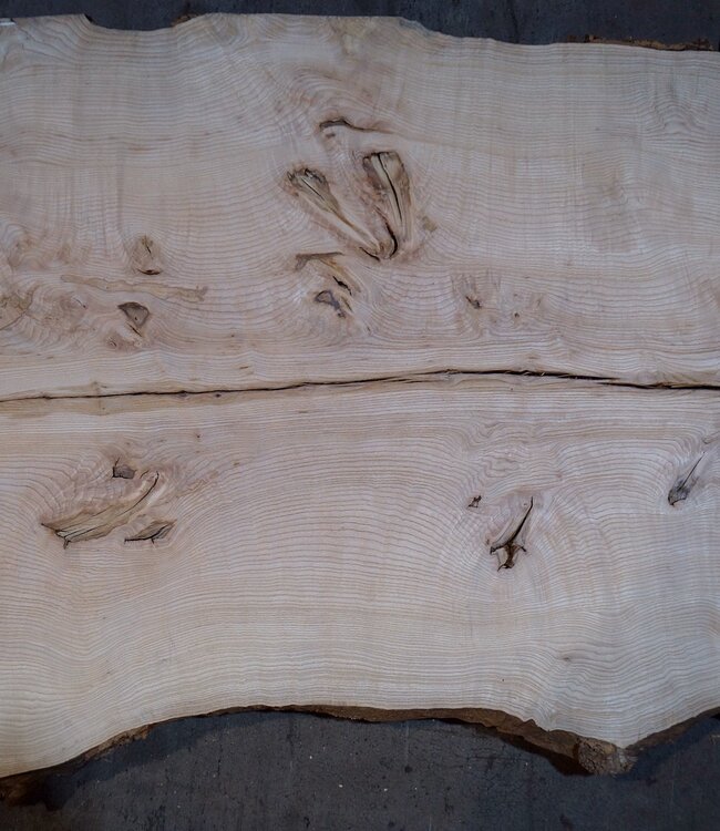 Ash burl table top, approx. 2600 x 1030/990/790 x 40-48 mm, 13514
