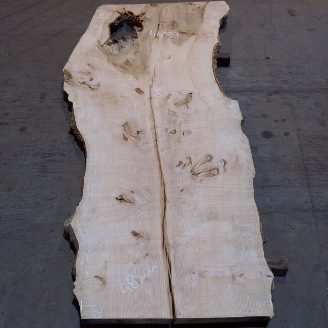 Ash burl table top, approx. 2600 x 1030/990/790 x 40-48 mm, 13514