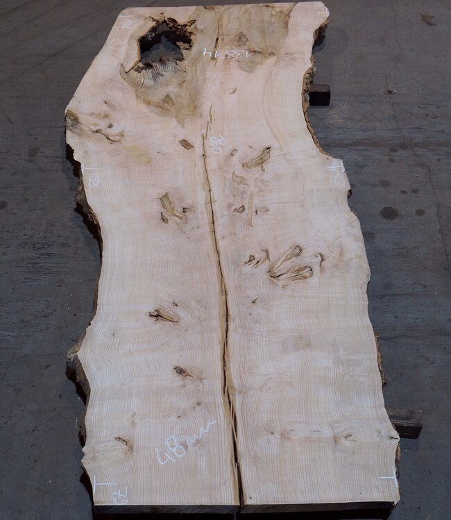 Ash burl table top, approx. 2600 x 1030/990/790 x 40-48 mm, 13514