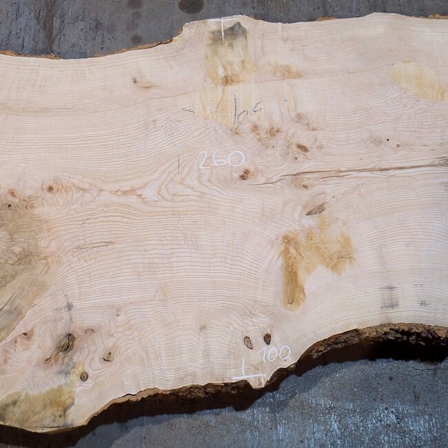 Esche Maser Tischplatte, ca. 2600 x 1000/1000/780 x 40-48 mm, 13515