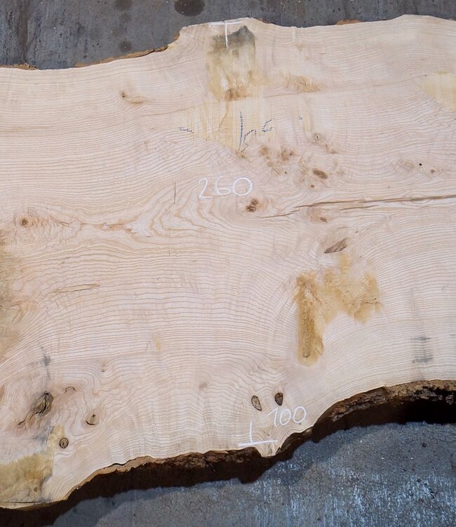 Esche Maser Tischplatte, ca. 2600 x 1000/1000/780 x 40-48 mm, 13515